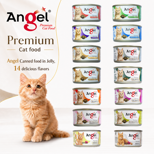 Angel Premium Cat canned food 80g (24cans/ctn)