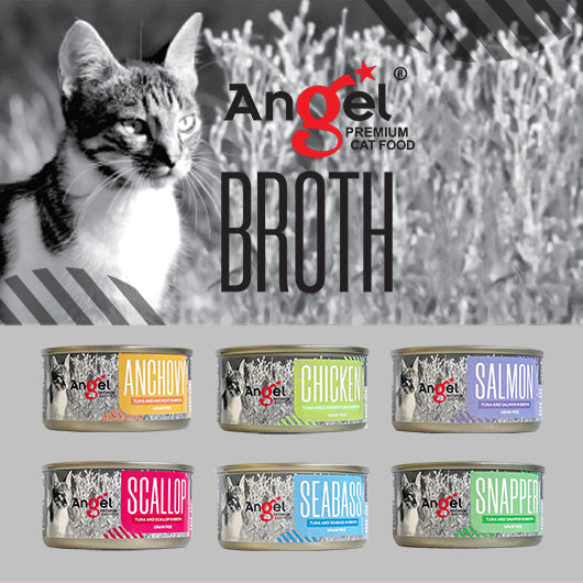 Angel Premium Cat canned food in Broth 70g (24cans/ctn)