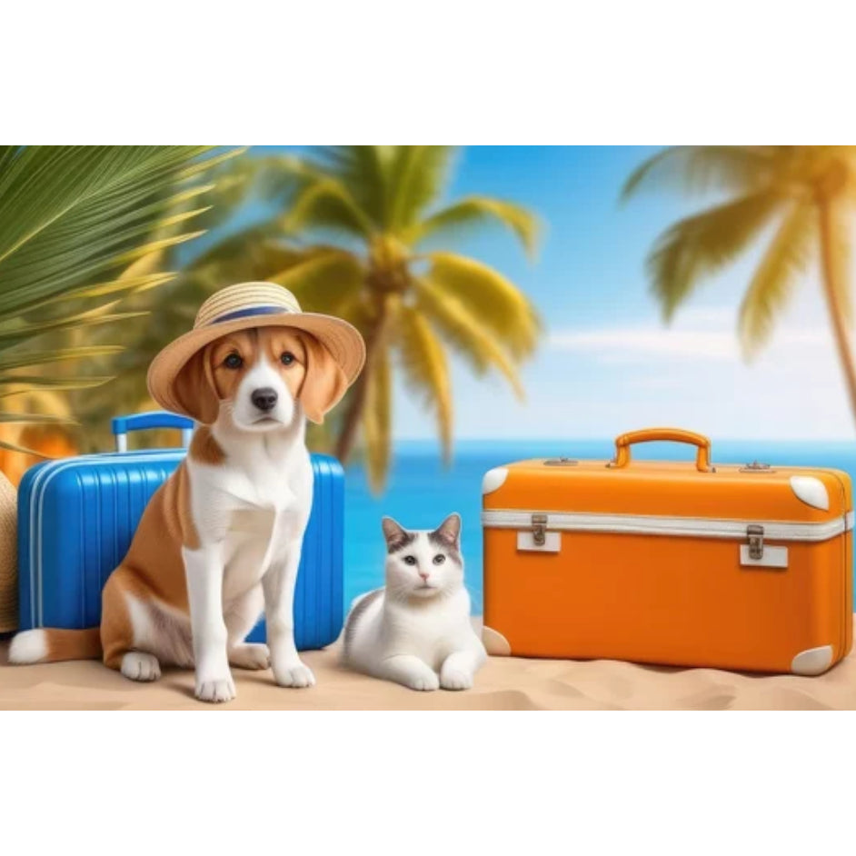 Europet Pet Carrier (57 x 38 x 38cm)