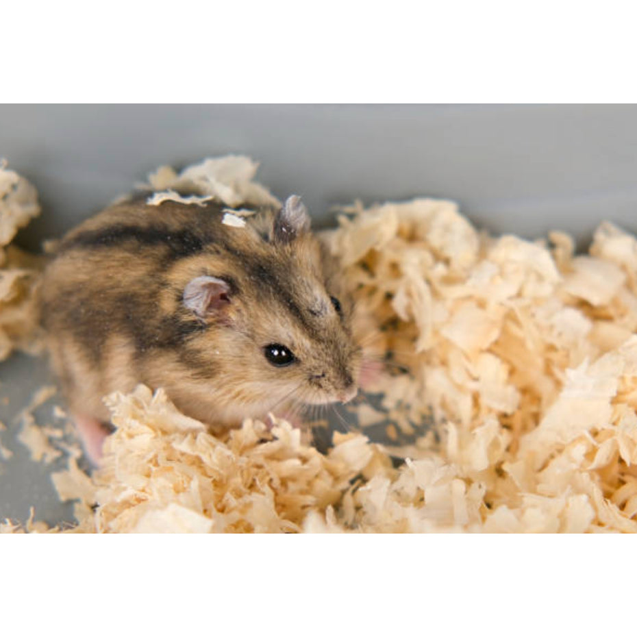 Angel Natural Woodshavings 60L for small animals