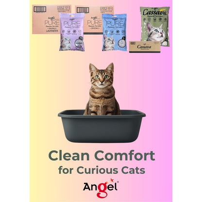 Angel Pure Crystals Cat Litter 5L/Angel Natural Cassava Cat Litter 6L – (6pkts/Ctn)