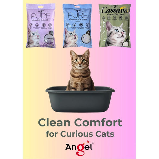 Angel Cassava Natural Cat Litter 6L / Angel Pure Crystals Cat Litter 5L