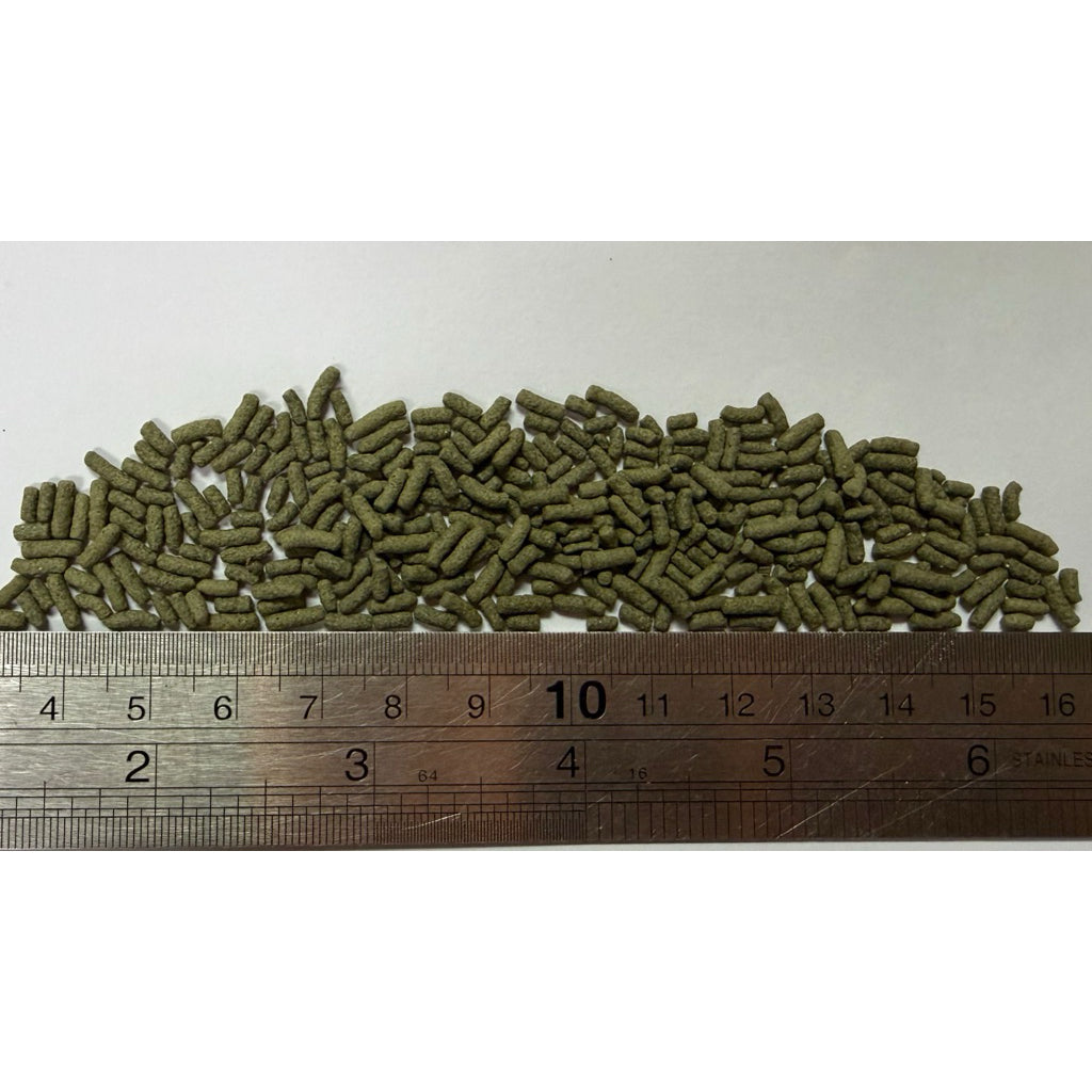 Angel Turtle and Terrapin Food 700g