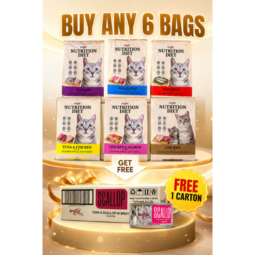 🎁Angel Nutrition Diet Cat Dry Food | Buy Any 6 Bags FREE 1 Carton Tuna & Scallop Broth 70g（24cans/ctn)🎁