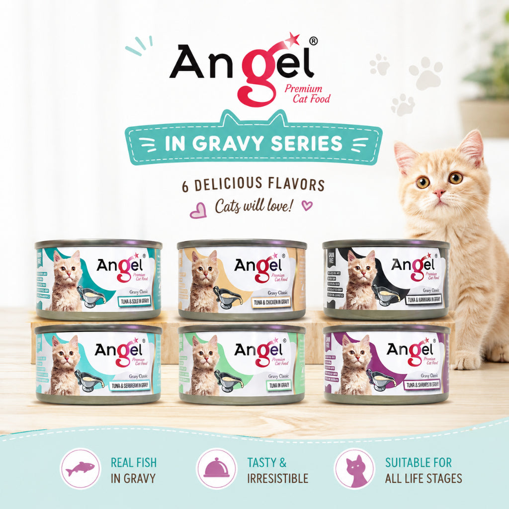 Angel Premium Cat canned food in Gravy 80g (24cans/ctn)