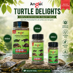 Angel Turtle Stick