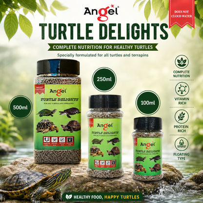 Angel Turtle Stick