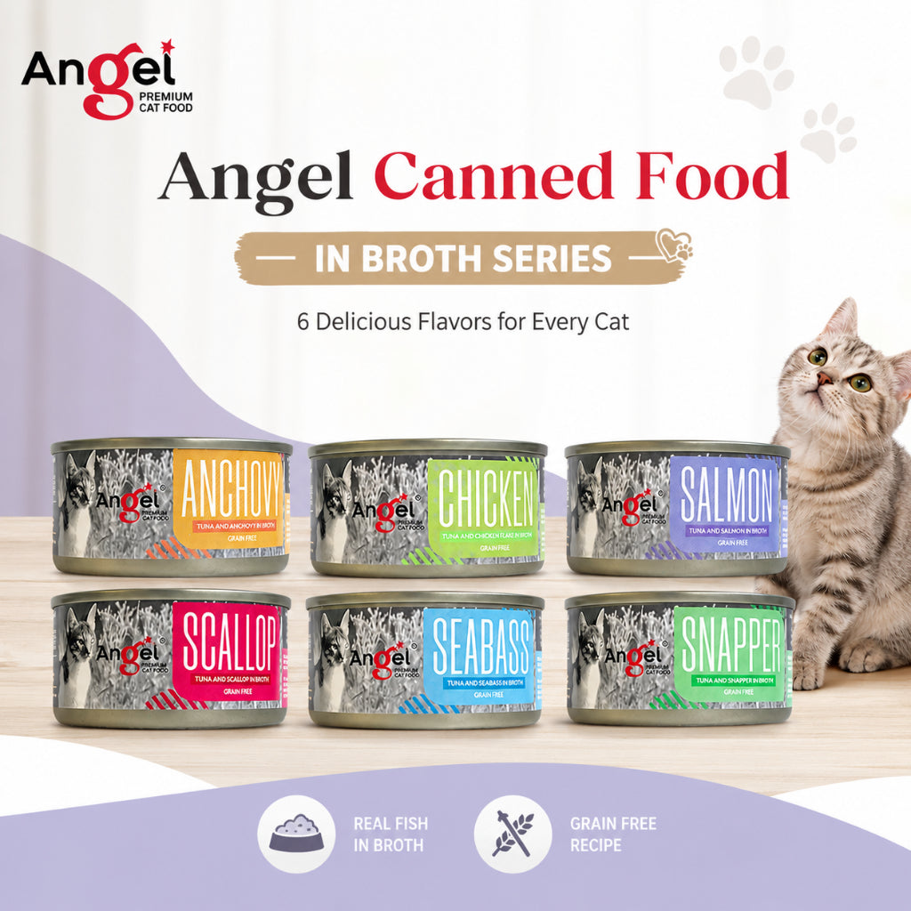 Angel Premium Cat canned food in Broth 70g (24cans/ctn)