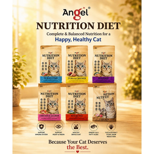 😽Angel Nutrition Diet Cat Dry Food 1.1kg😽