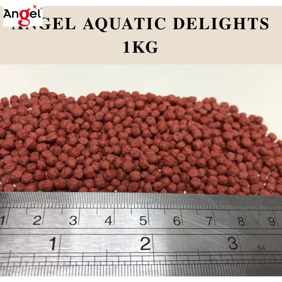 ANGEL AQUATIC DELIGHTS Fish Food