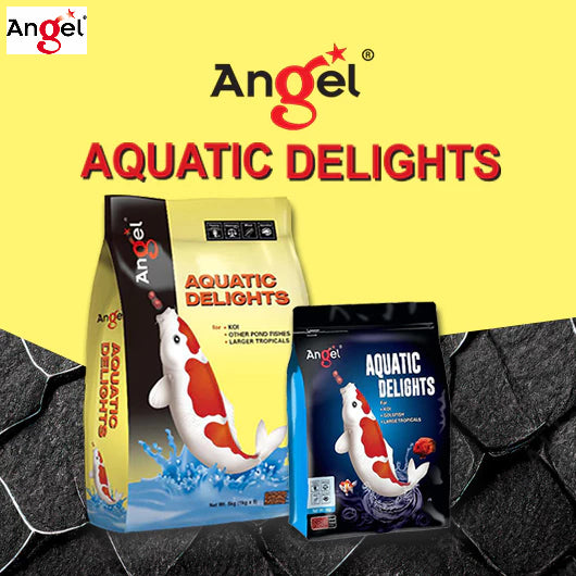 ANGEL AQUATIC DELIGHTS Fish Food