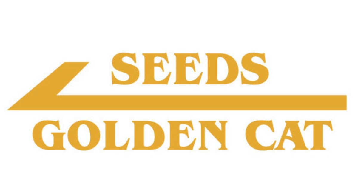 Golden Cat Logo