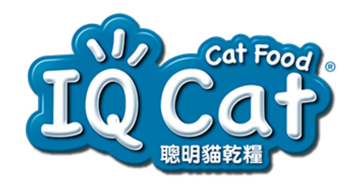 IQ Cat