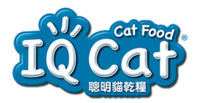 IQ Cat