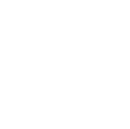 Small Animals