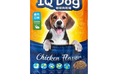 IQ Dog Chicken