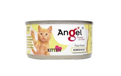 Angel Kitten Oceanfish in Jelly 80g