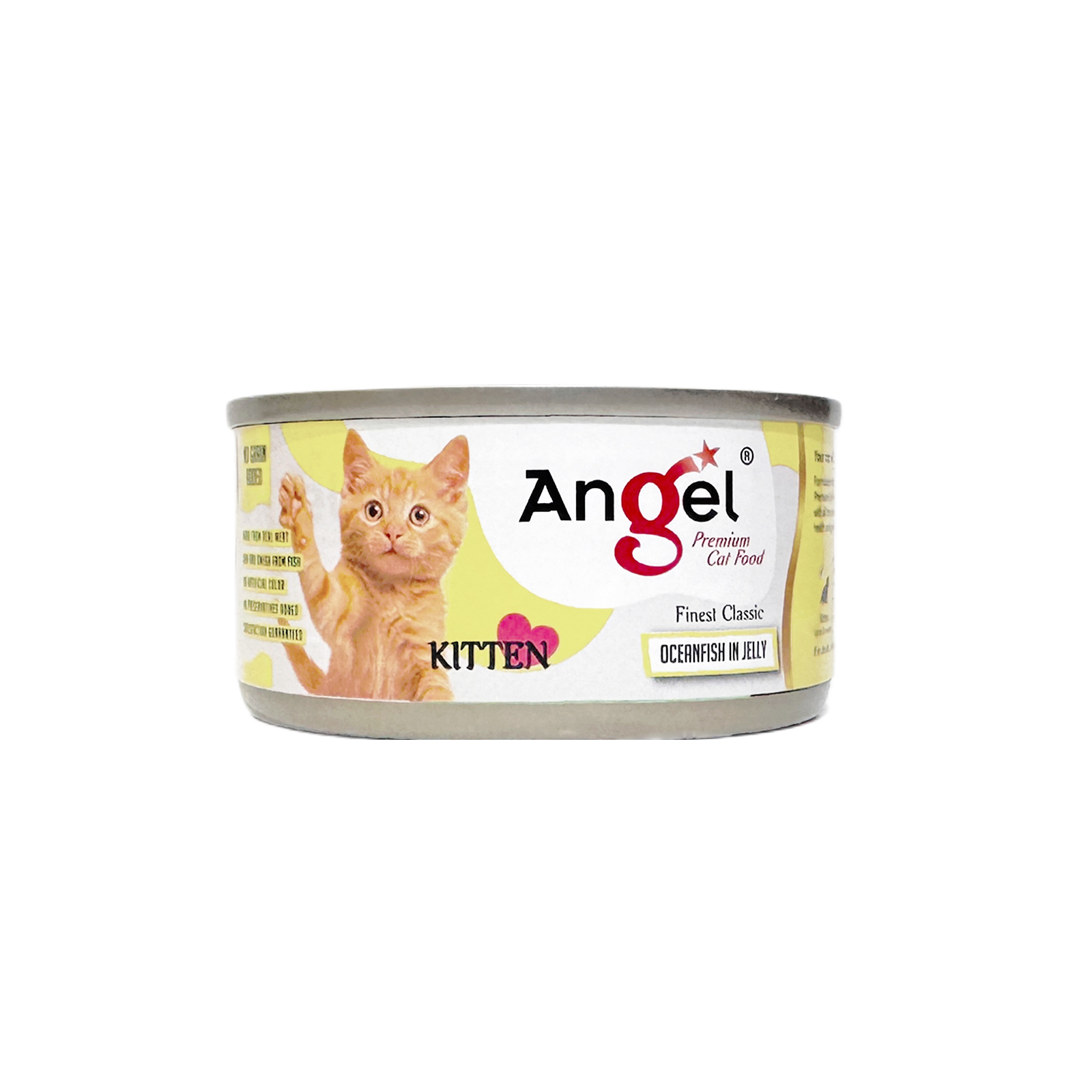 Angel Kitten Ocean Fish In Jelly 80g Front 8886352120472