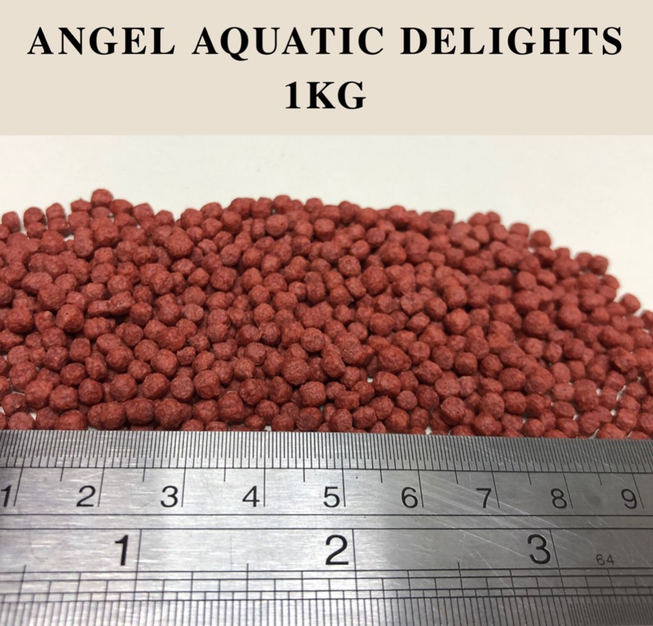 Angel Aquatic Delight 1kg Pellet Size