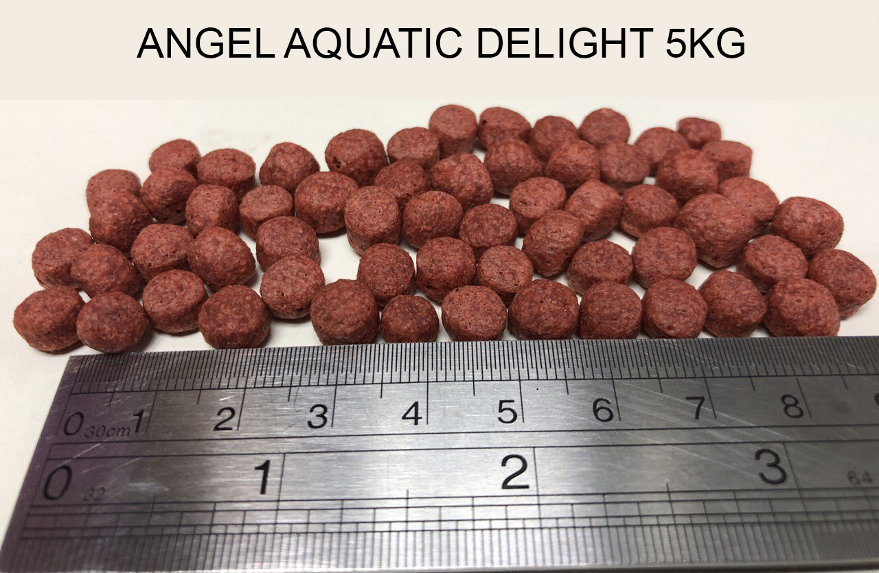 Angel Aquatic Delight 5kg Pellet Size