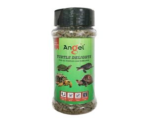 Angel Turtle Delights 100ml